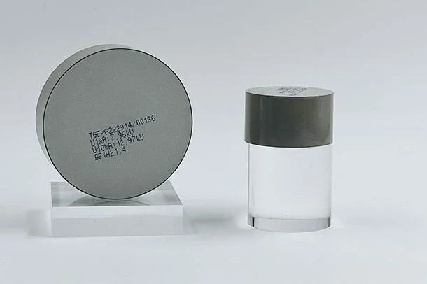 metal oxide varistor