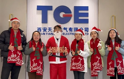 2023 Merry Christmas and 2024 Happy New Year, TGE's joyful video accompanies you, Have a good laugh!